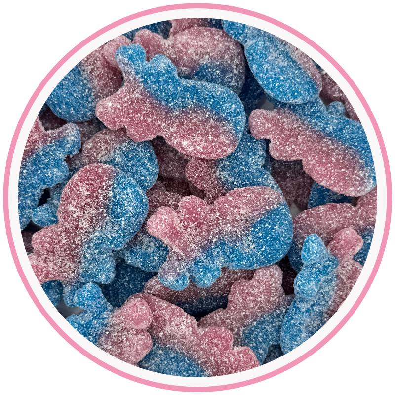 Bubblegum Skulls Hippo's Sweets Hippo's Sweets